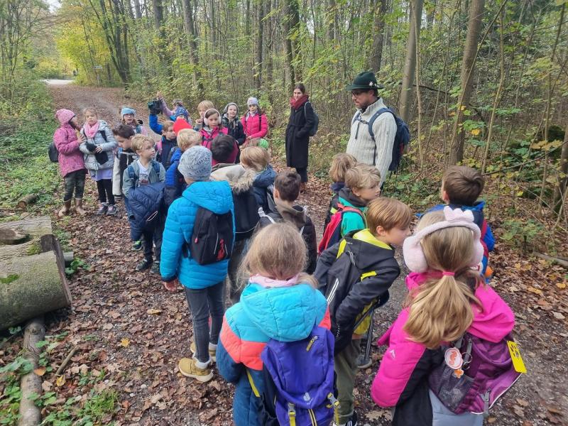 Unterrichtsgang in den Wald Bild 1