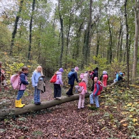 Ausflug Wald - Bild 1