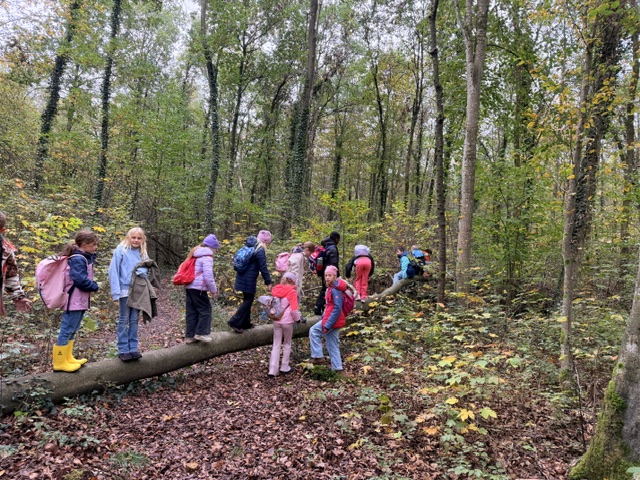 Ausflug Wald - Bild 1